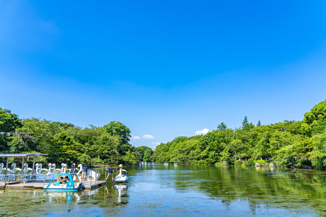 井の頭公園とボート