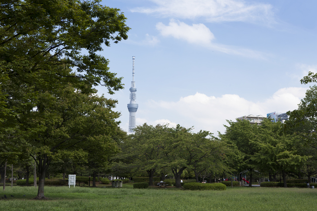 猿江恩賜公園