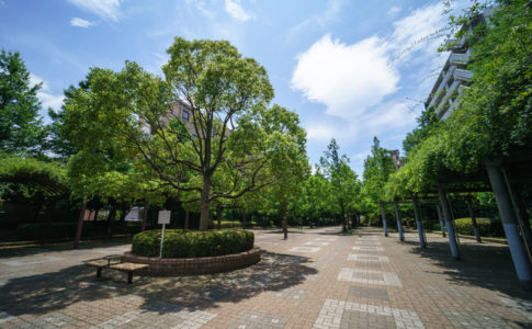 緑豊かな大横河親水公園