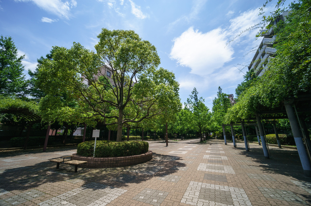 緑豊かな大横河親水公園