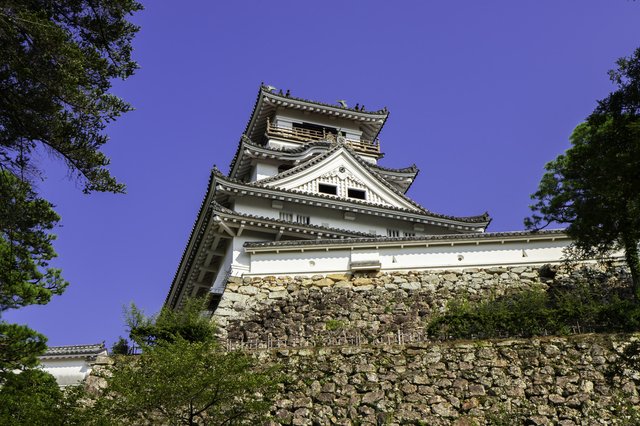 快晴の高知城