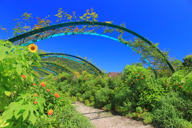 マルモッタンの花の庭