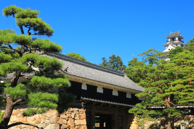 高知城の天守閣と追手門