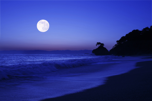 桂浜の月