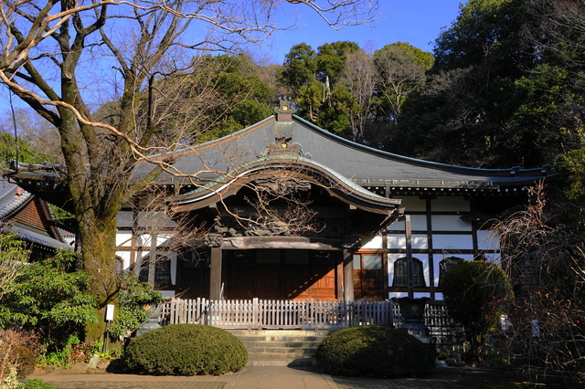 武蔵国分寺・本堂