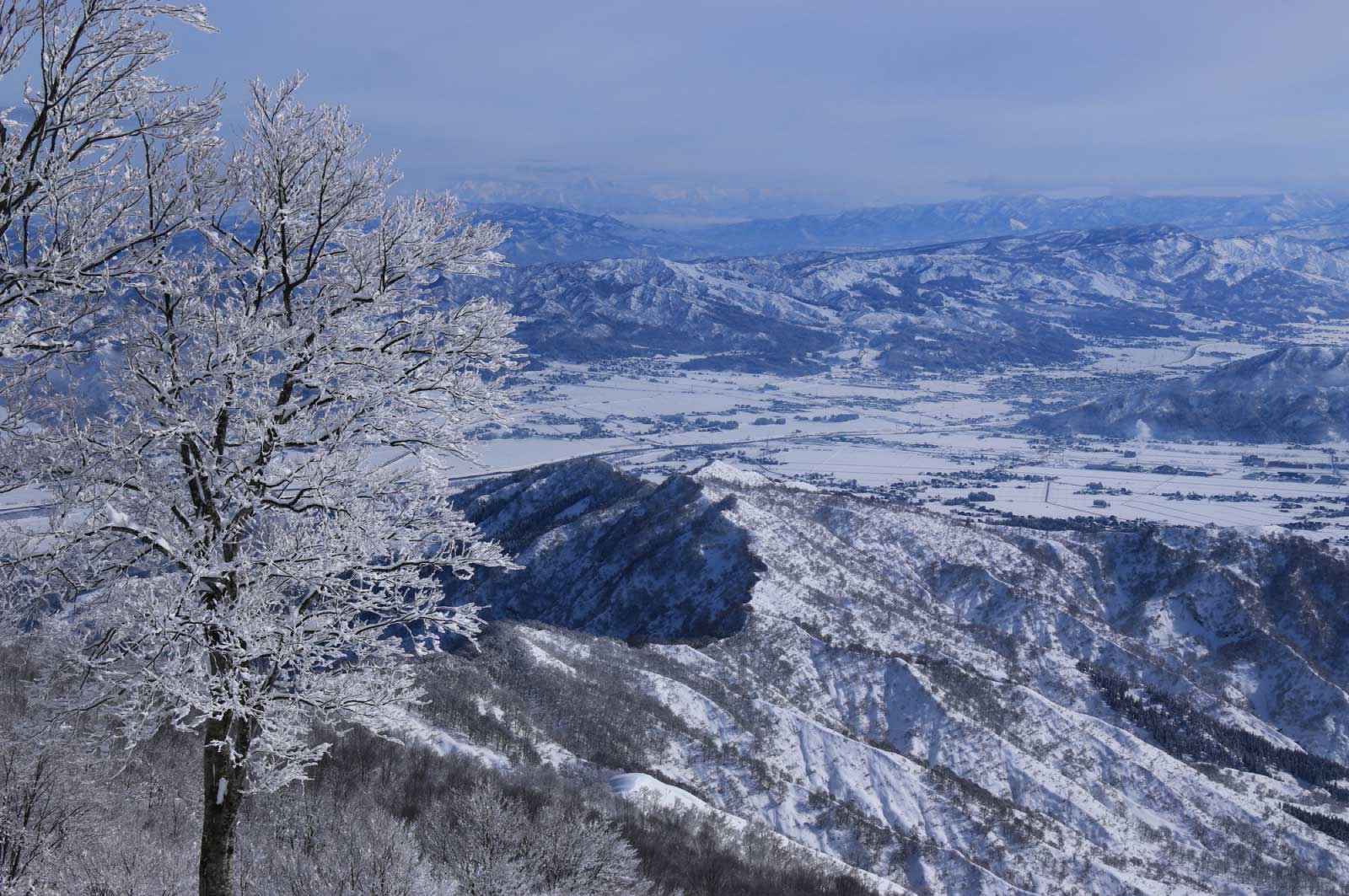 雪景色もまた格別