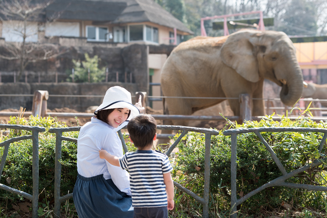 4歳の息子と動物園へ