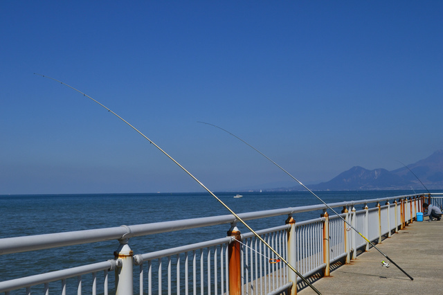 海釣りもできる宇土マリーナ