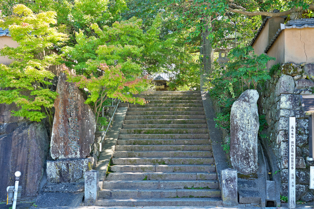 浄瑠璃寺の参道