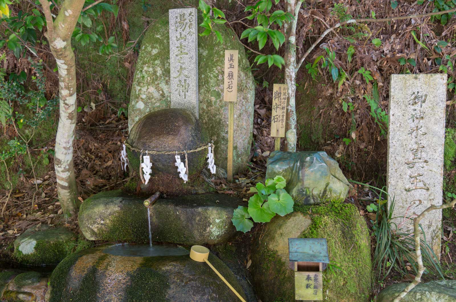 玉作湯神社（願い石）