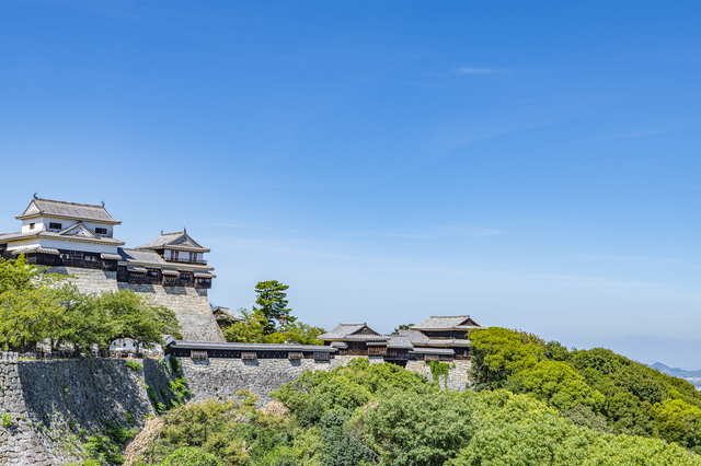 晴天の松山城