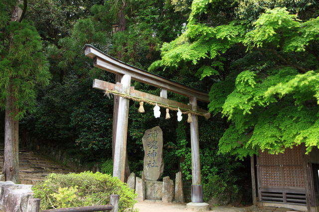 神魂神社（松江）