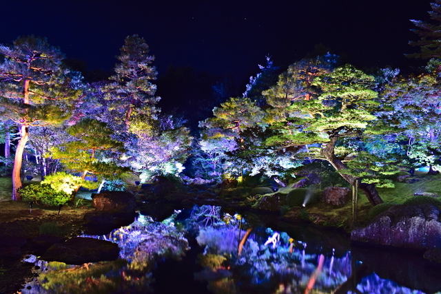 由志園・夏のイルミネーション