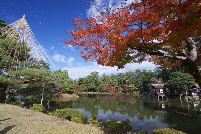 秋の兼六園