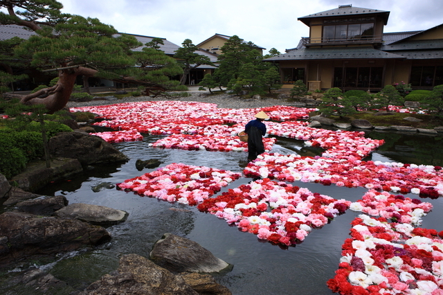 由志園の牡丹池