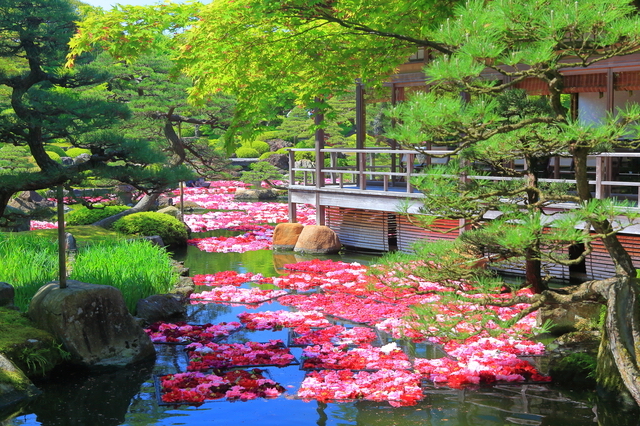 松江の日本庭園・由志園