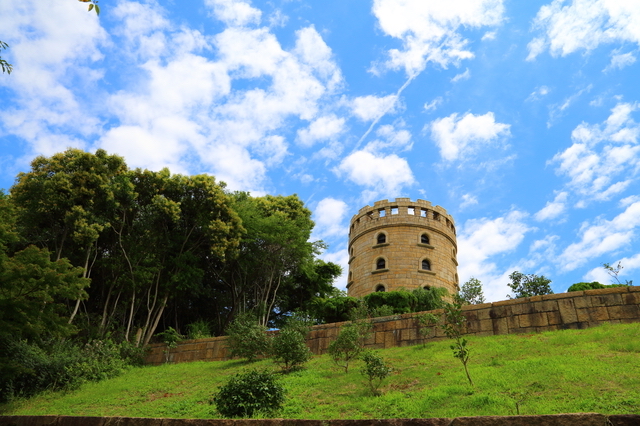 松山総合公園