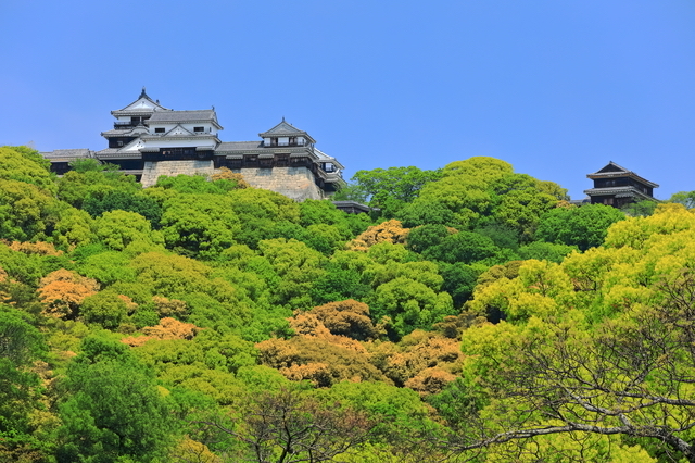 晴天の松山城