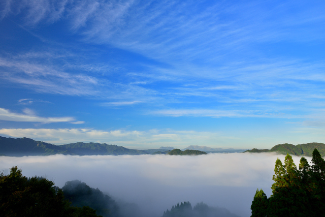 国見ケ丘の雲海