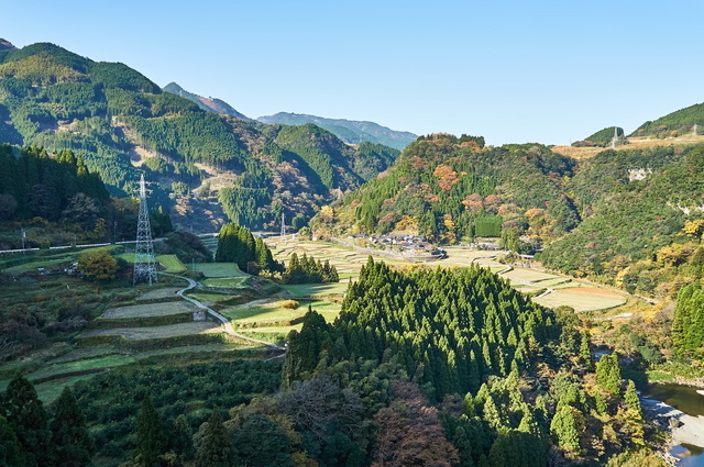 宮崎の田舎