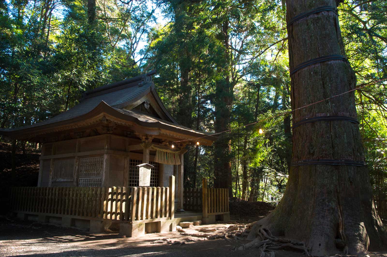 荒立神社（四皇子社）