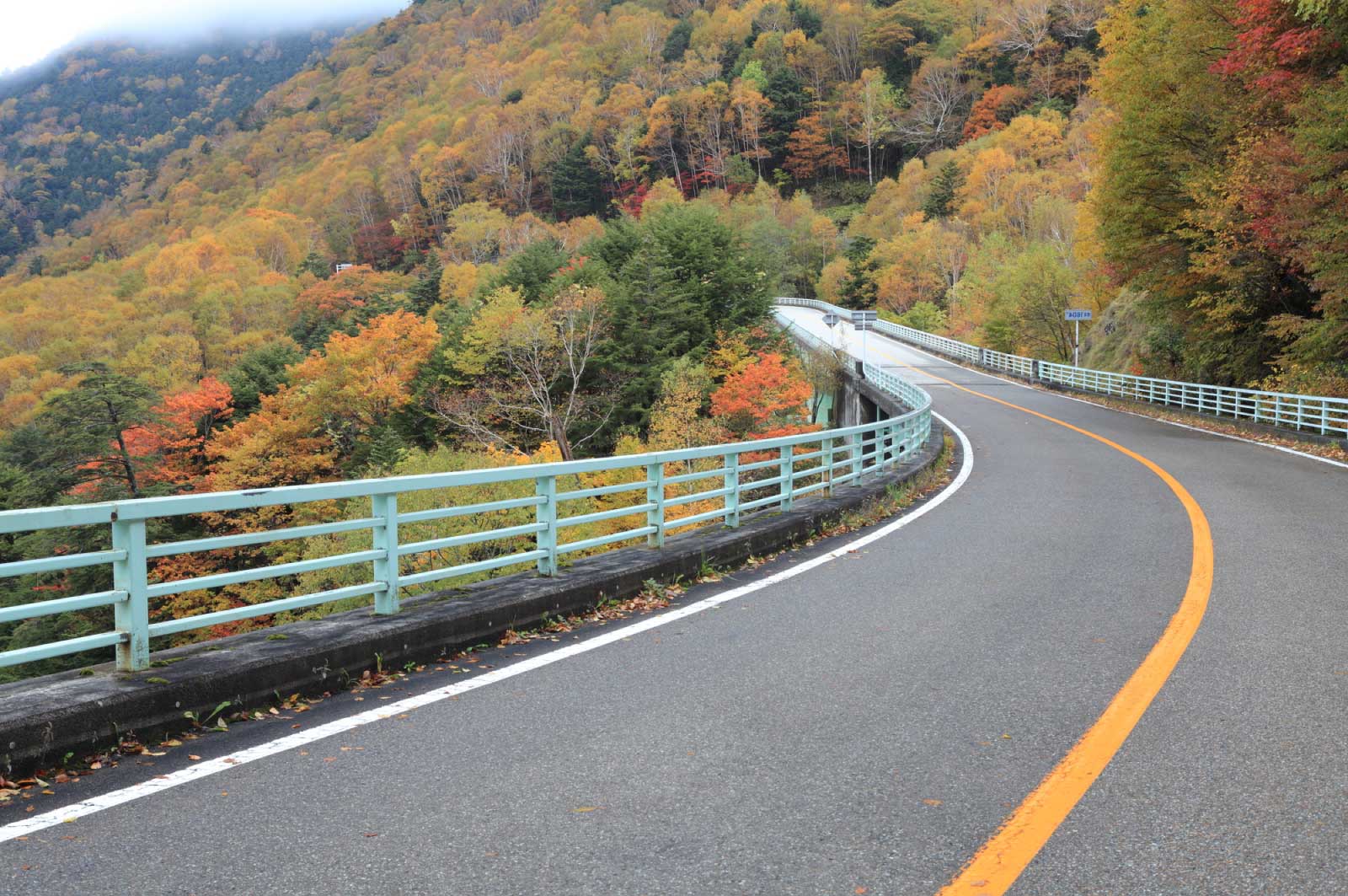 季節ごとにまた変わった景色が見られる