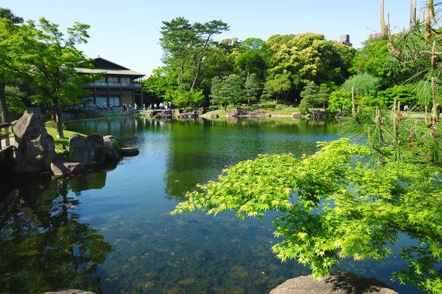 池泉回遊式の日本庭園