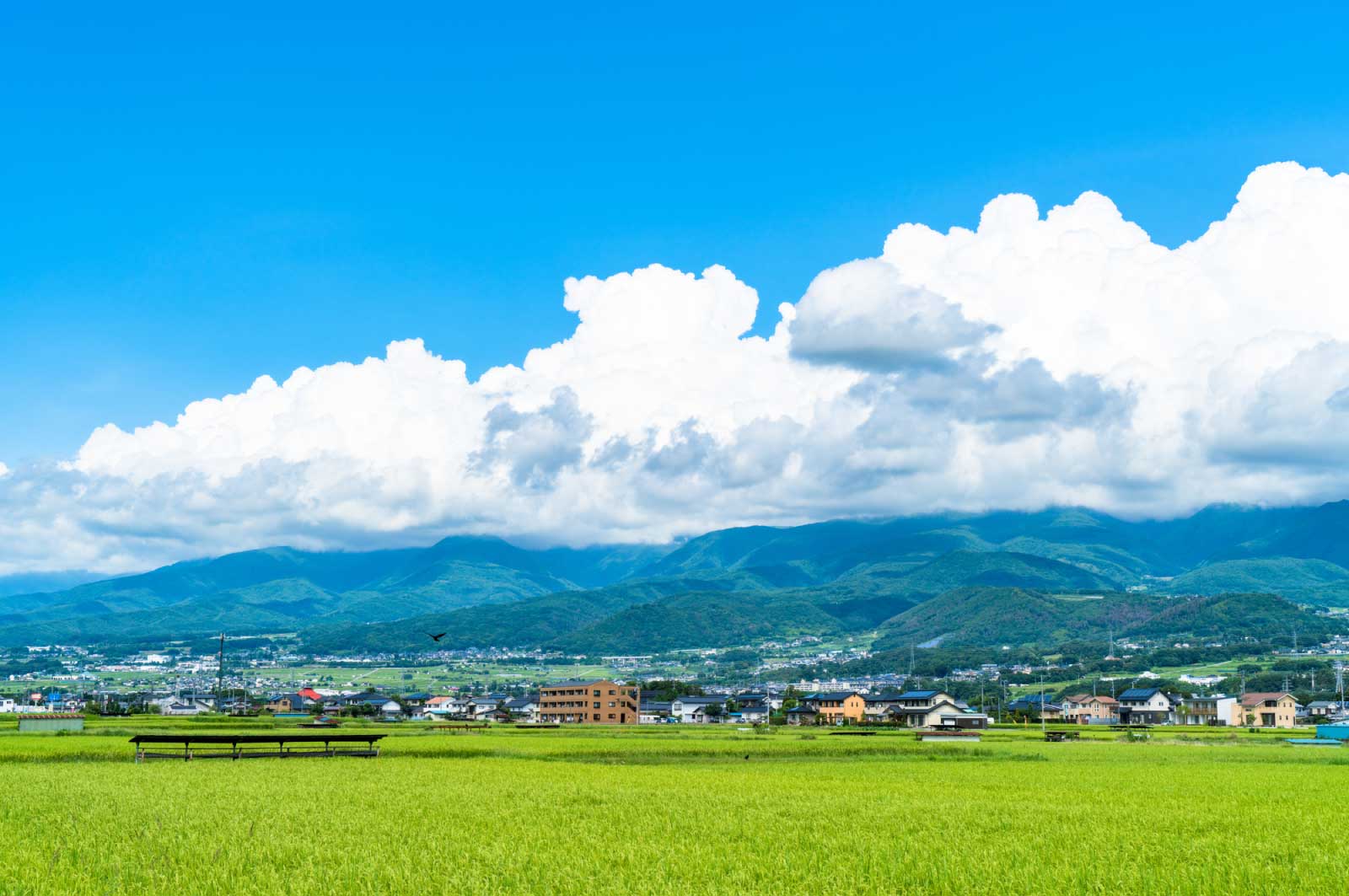 祖父母の家はどちらも長野県にありまして