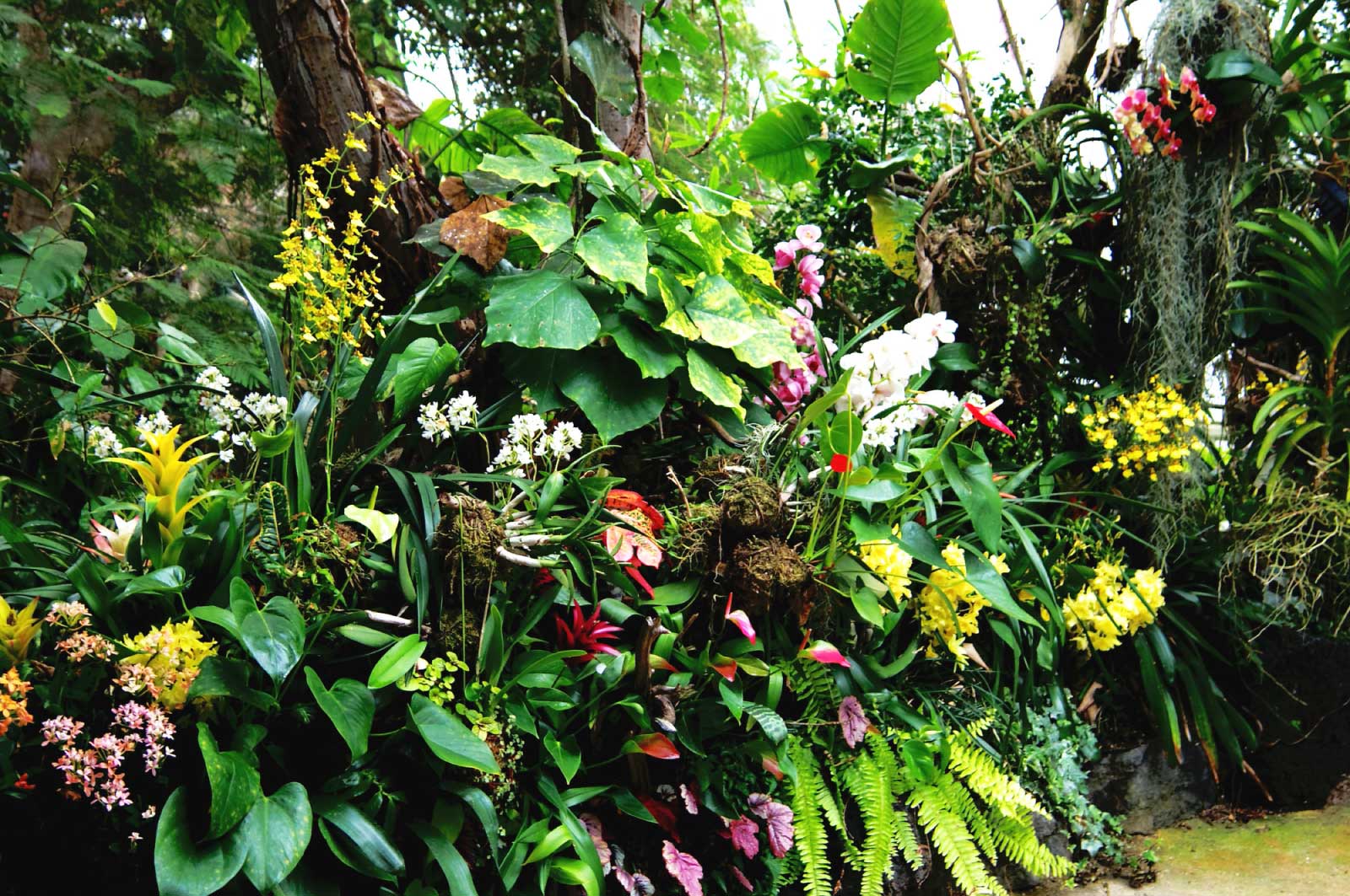 長崎バイオパークの植物園