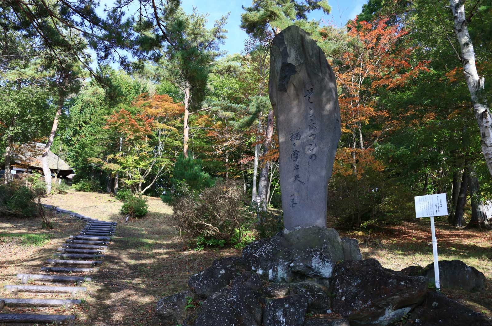 一茶の墓のある小丸山