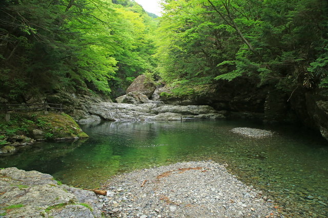 みたらい渓谷は川遊びも出来る