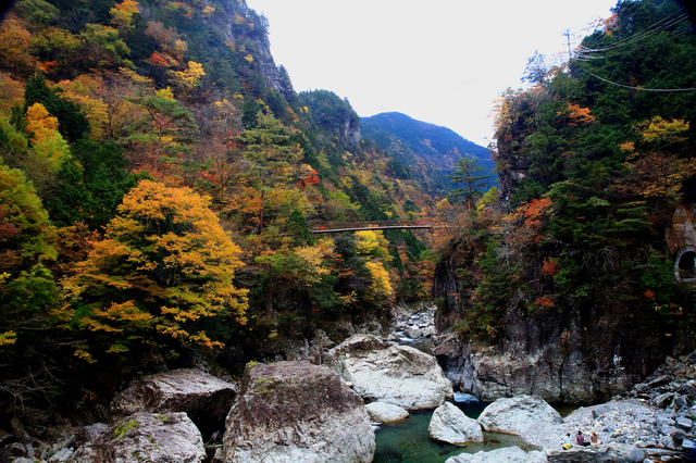 みたらい渓谷の紅葉