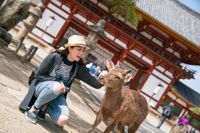 鹿とたわむれる私