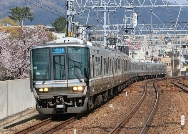 さくら夙川駅を走る電車