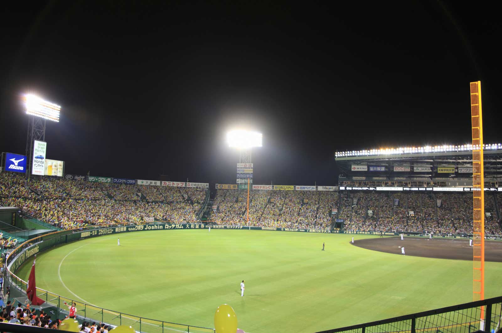 甲子園球場（ナイター）