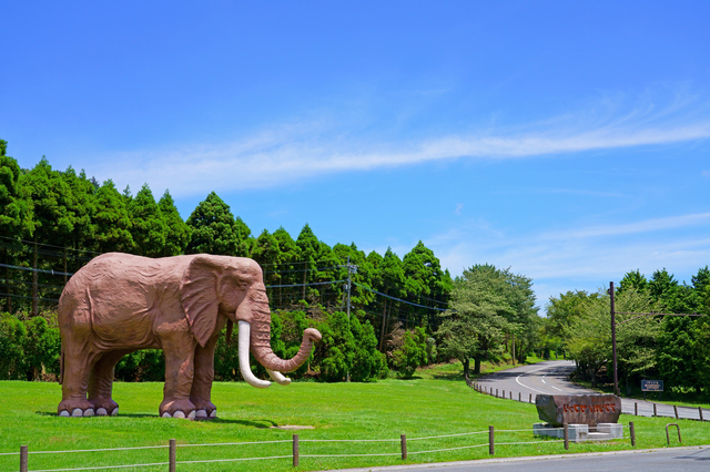 大分・アフリカンサファリ入り口