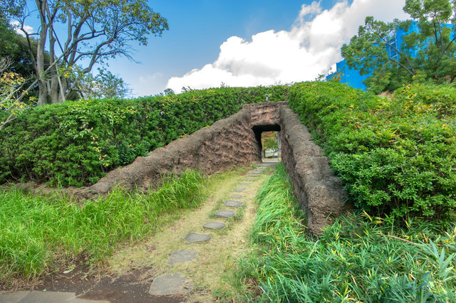 大森貝塚遺跡庭園2