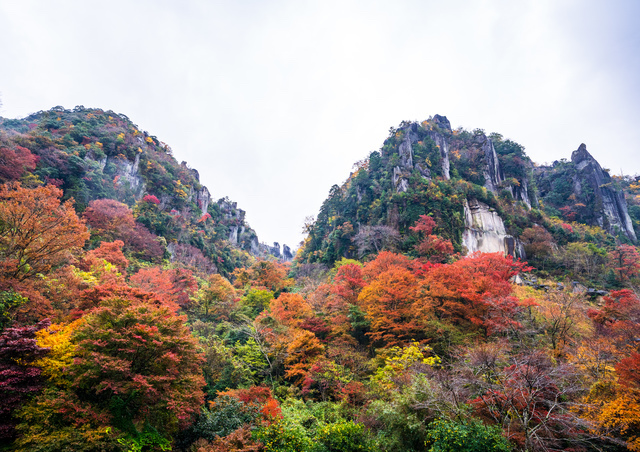 紅葉の時期の一目八景