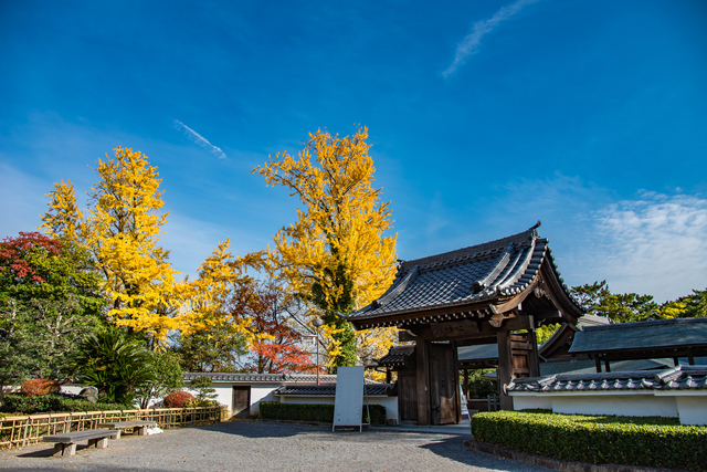 岡崎公園の能楽堂