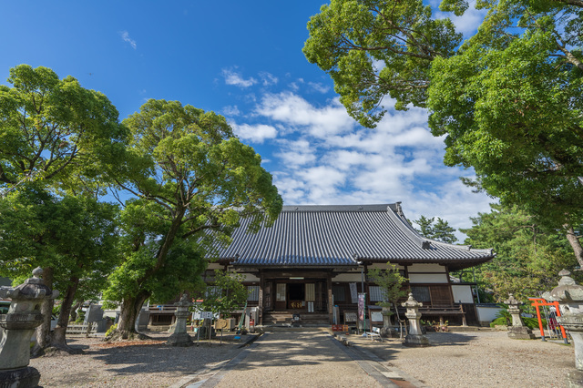 大樹寺・本堂