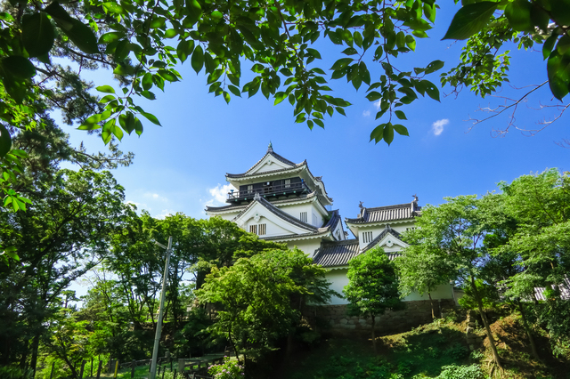 家康が生まれた岡崎に建つ岡崎城