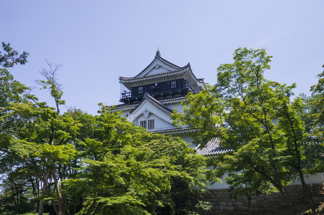 岡崎城（岡崎公園）