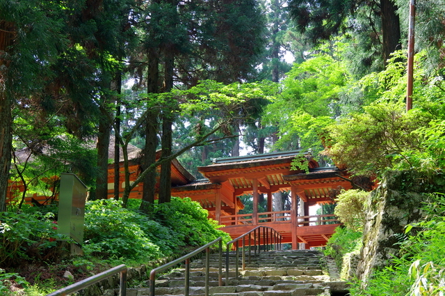 新緑豊かな比叡山延暦寺