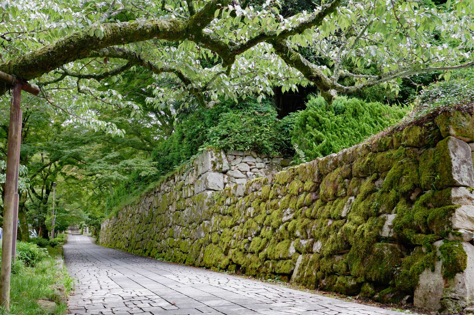 坂本城跡（大津）