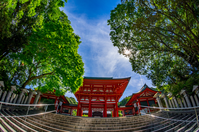 歴史を感じる大津・近江神宮