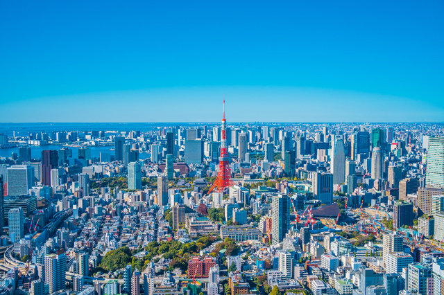 六本木ヒルズからの景色（東京タワー）