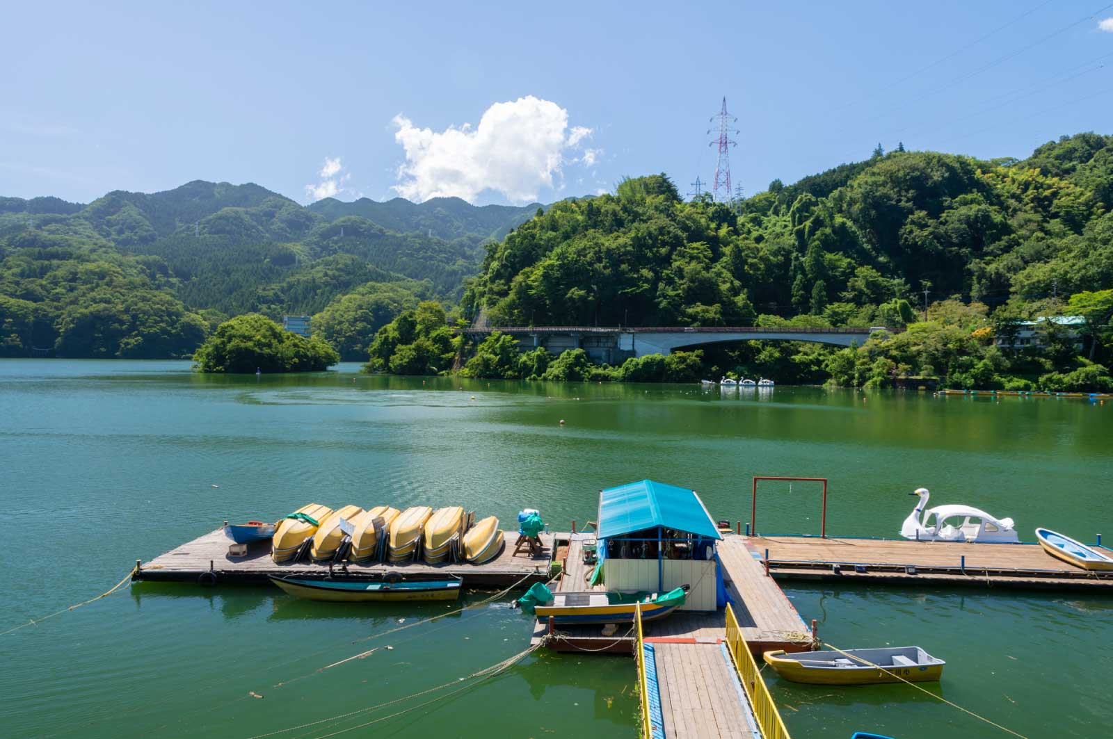 湖畔の公園