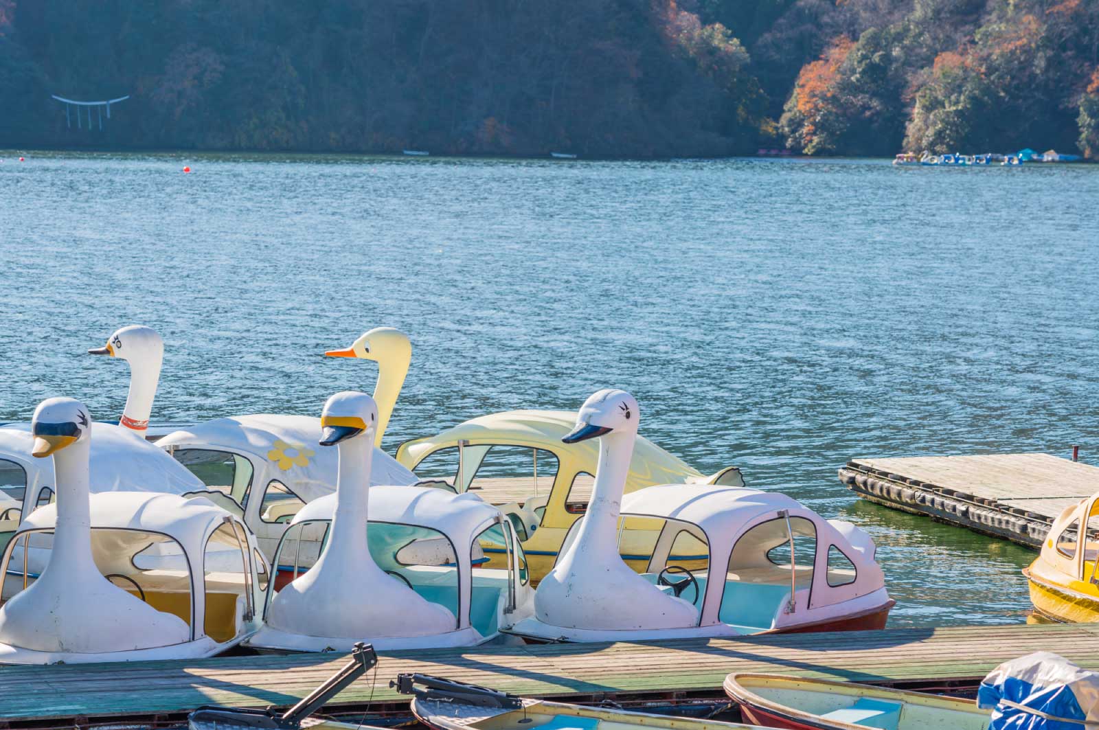 相模湖でぶらぶらする生活