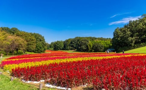 大自然に囲まれながら