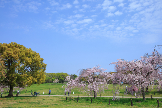 大仙公園（堺）